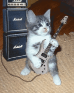 pussycat.gif