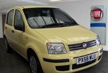 Yellow Panda.jpg