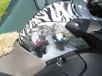 IMG_0413.jpg