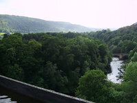 P5030054.jpg