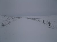 snow 1.jpg