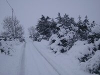 snow 3.jpg