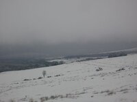 snow 4.jpg