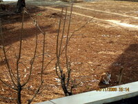 Jordan All-5.JPG