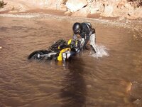 IMGP4011 (Small) (2).JPG
