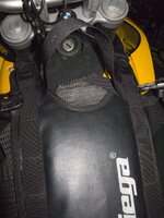 Kriega_Image-2.jpg
