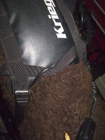 Kriega_Image-5.jpg