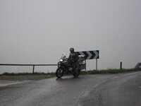 IMG_1193.jpg