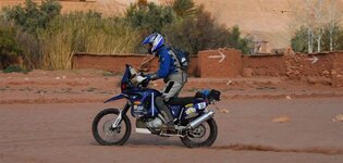 449473399_MfEvc-XL (Small).jpg