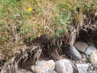 .Scotland 101 (Small).jpg