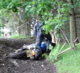 DSC00029.jpg