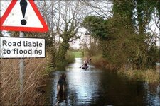 flood 2.jpg
