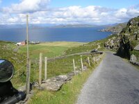 beara 3.jpg