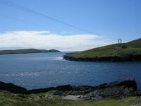 beara 4.jpg