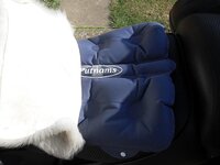 stadium seat cushion 002.JPG