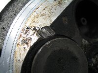 IMG_2060.jpg