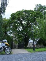 Timahoe -July 8, 2005.jpg