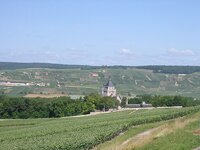 scenery 1.jpg