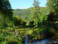 llangollen_24_09_04019.jpg