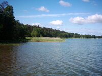 picture 1144.jpg