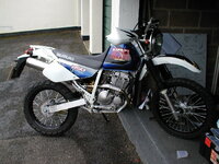 dr250 1.jpg