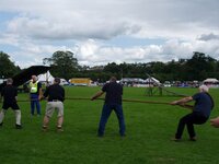 resize of p7180051.jpg