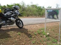 IMG_1015.jpg