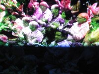 Copy of IMG_0299.JPG
