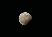 Blue Moon.jpg
