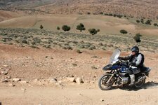 IMG_0135.jpg