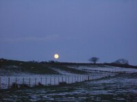 blue moon.jpg