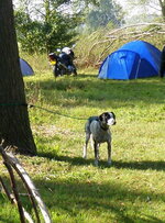 P9270150-1.JPG