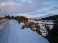 roads 2.jpg