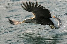 IMG_7630.jpg