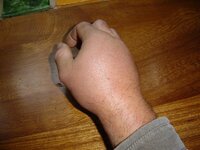 DSC00956.jpg