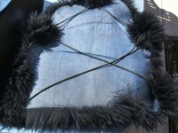 Shytehawk 002.jpg