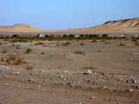 P1000293-1.JPG
