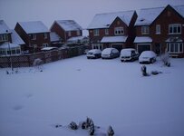 new years day 2010 snow 010.jpg