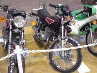 DSC00073.jpg