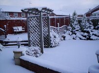 new years day 2010 snow 012.jpg