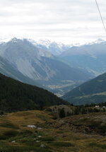 IMG_0881.jpg