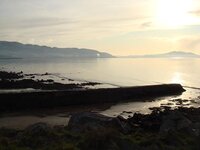 DSC04124.jpg