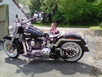 harley.jpg