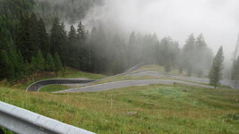 IMG_0919.jpg