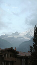 IMG_1019.jpg