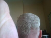 haircut.jpg