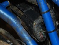 DSC_00111web.jpg