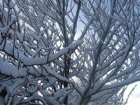 Flippin Snow 003.jpg