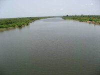 IMG_1031.jpg