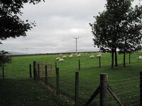 00420.jpg 00420.jpg